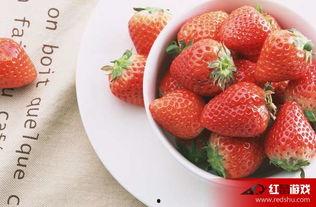 娱乐吃瓜酱草莓视频下载